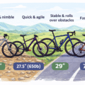Bike Wheel Sizes Explained: A Simple Guide for Every Type of Bike