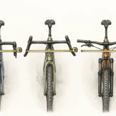 Bike Handlebar Width Guide: Road, Gravel and MTB