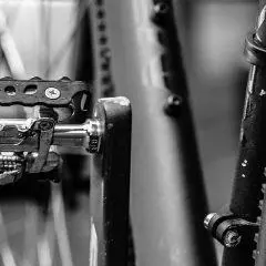 Road Pedals Reviews: Our Top Picks from Shimano, LOOK, Time, Bontrager & Speedplay
