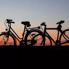 Chain or Belt Drive Bike: Buying Guide