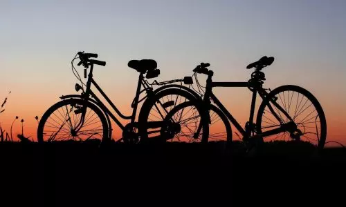 Chain or Belt Drive Bike: Buying Guide