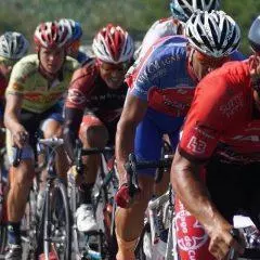 The 15 Best Road Bikes Under $2000