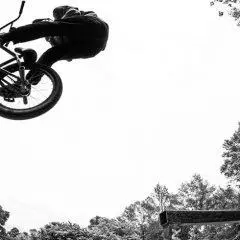 Best BMX Bikes: A Comprehensive Guide to Choosing the Right Bike for Your Needs