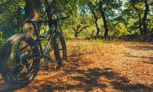 Best Fat Tire Bikes For Your Money: From Budget to High-end (Reviews & Buying Tips)
