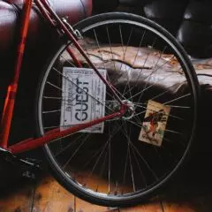An Analysis of the 6 Best Tubular Tires on the Market