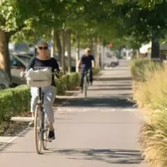 Complete Guide To Safe Cycling With Diabetes: Tips & Precautions To Keep In Mind