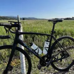 Owner Review: Trek Emonda ALR Disc 2020