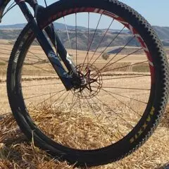 Roval Control 29 Carbon Wheels Review