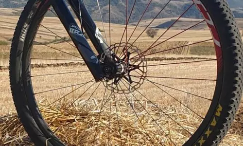 Roval Control 29 Carbon Wheels Review