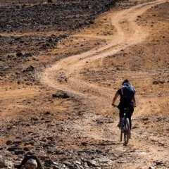 Best Carbon Gravel Bikes: Discover the Ultimate Adventure Machines