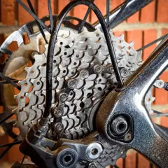 Bike Tune-Up Cost: Breakdown and Ways to Save Money
