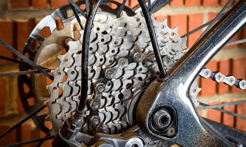 Bike Tune-Up Cost: Breakdown and Ways to Save Money