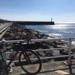 A Review Of My Trek Domane AL 2 Disc