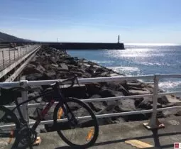 A Review Of My Trek Domane AL 2 Disc