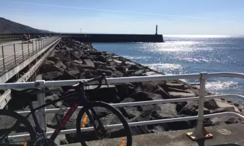 A Review Of My Trek Domane AL 2 Disc