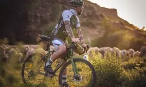 mountain bike